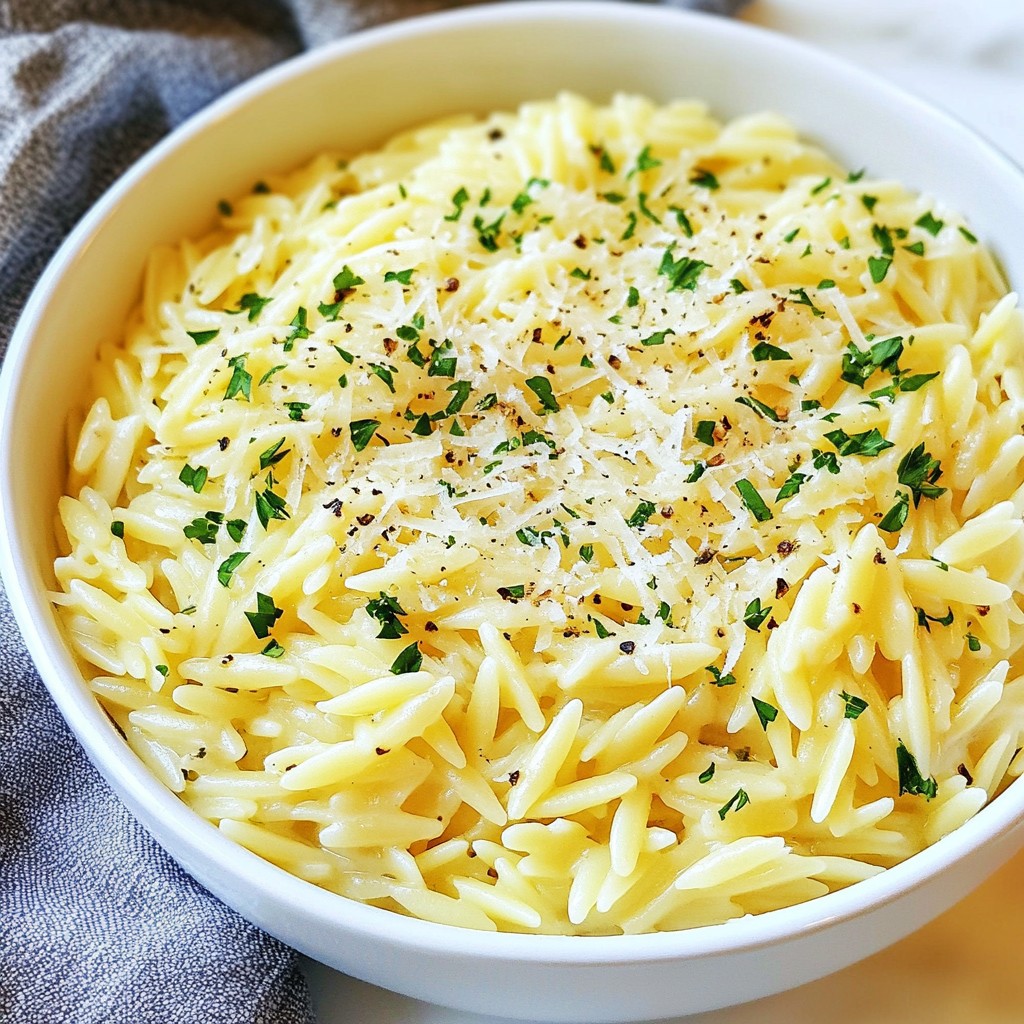 Garlic Butter Parmesan Orzo Simple and Tasty Recipe